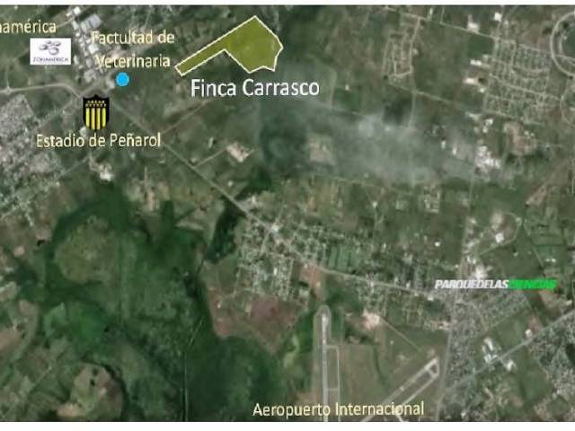 FINCA CARRASCO